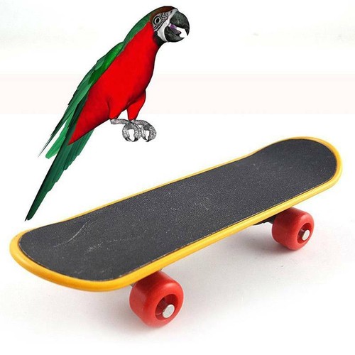 Pet Bird Intelligence Foot-talon Toys Training Mini Skateboard Stand Perch CF