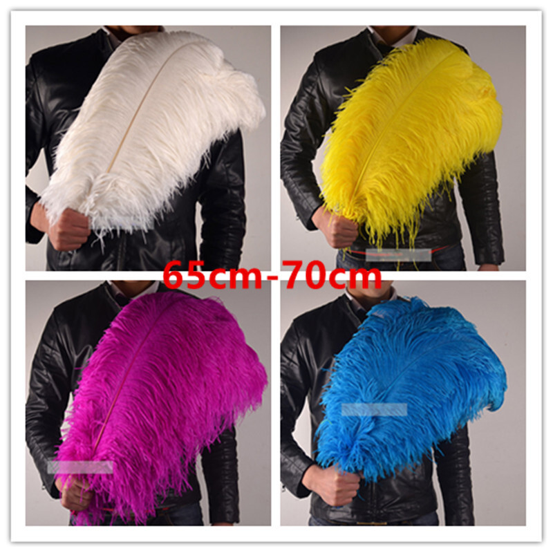 Wholesale 10/50/100pcs Ostrich Feathers 6-28 inch/15-70cm Wedding Party Decor