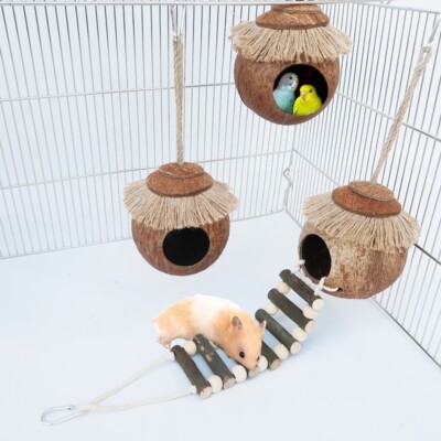 Pet Daily Kit 3pcs Natural Coconut Hanging Birdhouse for Cage Breeding Nest