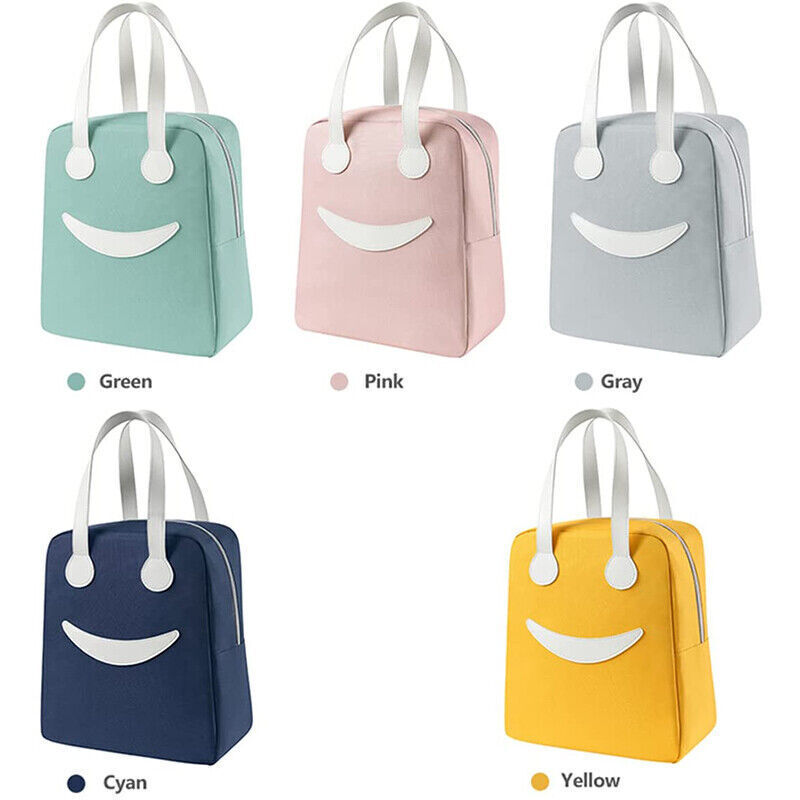Portable Insulated Lunch Bag Large Capacity Waterproof Picnic Bag Lunchbox