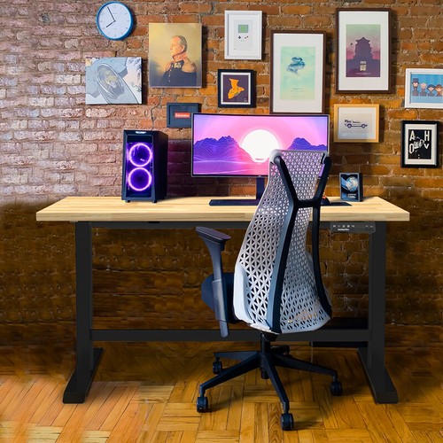 48" Electric Standing Desk, Height Adjustable with 48"x24" Wooden Top&Dual Motor
