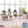 Yishang 1.9 Inch Tiny Pink Terracotta Pots Pack of 72-Small Mini White Clay Pots with Drainage Holes Flower Nursery Terra Cotta Planter for Tiny Cactus,Herb,Succulent Plants,Crafts