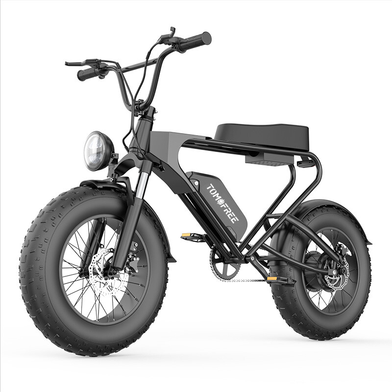 Electric Bike Bicycle Aldult Fat Tire E-bike 1200W 48V 20Ah 
