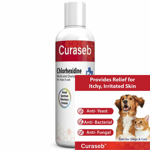 Curaseb Medicated Shampoo for Dog & Cats - Treats Skin 16 Fl Oz (Pack of 1)
