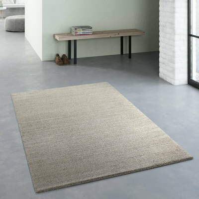Brayden Studio Sandström Teppich Shaggy Flokati Läufer Hochflor Beige 80x150cm