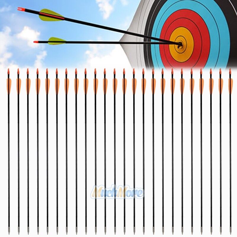 36pcs 33" Archery Arrow Fiberglass Arrows Nocks Fletched Target Practice Hunting