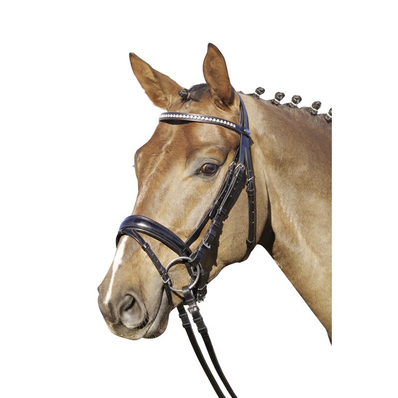 Euroriding Trensenzaum London mit Glitzersteinchen