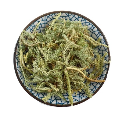 500g Shen Jin Cao - lycopodium clavatum Chinese Herb