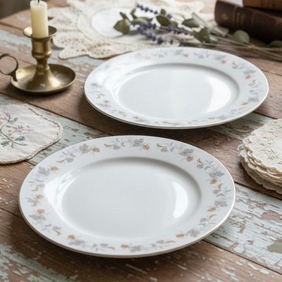 Jingdezhen China Floral Porcelain Dinner Plates, Set of 2, Vintage Tableware