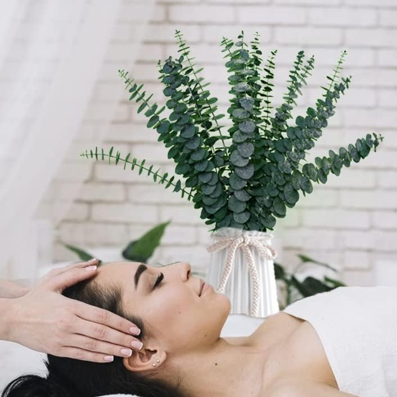 20 PCS Dried Preserved Eucalyptus for Shower, 17" 100% Natural Fresh Hanging Euc