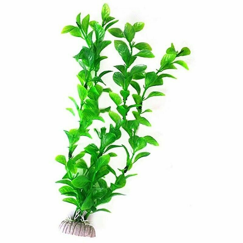 Picture 4