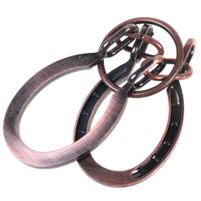 Horseshoe Lock Toys Adult and Teenager Cast Metal Brain Teaser Puzzle T THY  WY4