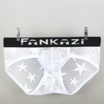 Male Underwear Briefs Mesh Low-rise Panties Underpants Ropa Interior Hombre Sexy