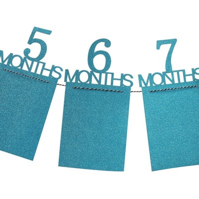 Newborn Baby 1st Birthday Gift Hanging Photo Banner Monthly Wall Display Decors