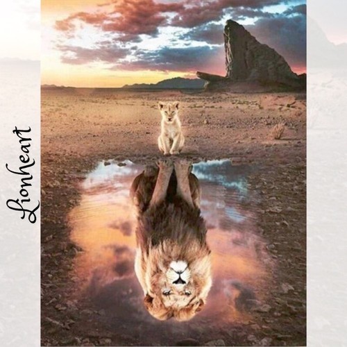 Malen nach Zahlen Lionheart für Erwachsene 40 x 50 cm DIY Zeichnen Löwe