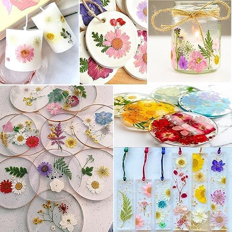 301Pcs Dried Pressed Flowers Leaves & Butterfly Stickers for Crafts, Real Natura