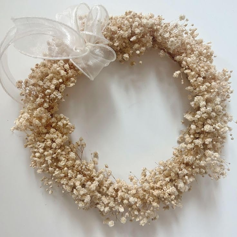 50Pcs Mini Dried Baby's Breath Flowers for Resin Art Craft DIY, 3000+ Natural Iv