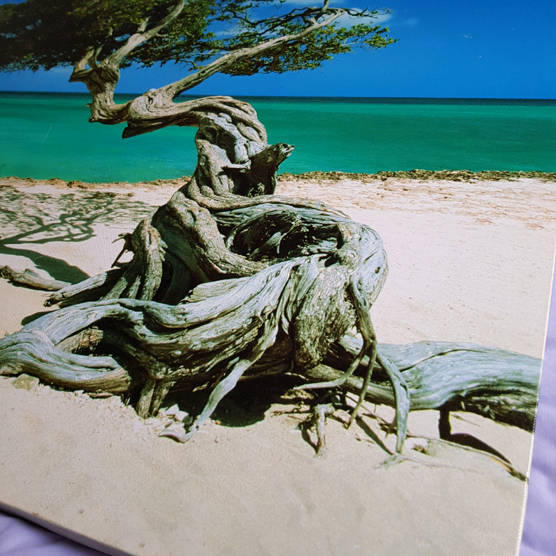Large Canvas Tropical Beach Print