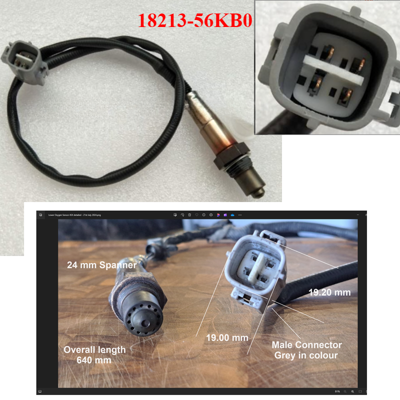 aoiki　0423 514SNv8nCfL._UF350,350_QL50_.jpg