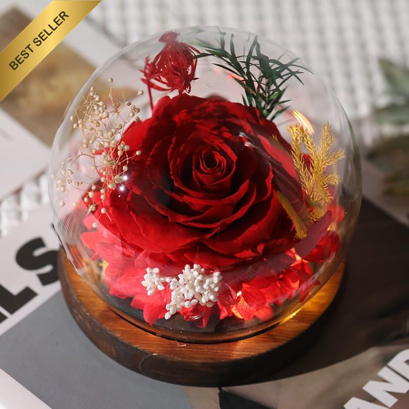 Rose in Glass Dome, Long-Lasting Real Flowers, with LED Light, Unique for Mother