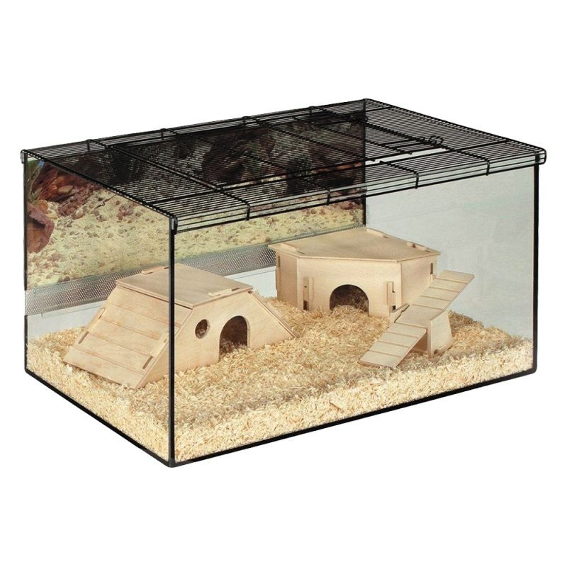 Small Glass Pet Terrarium Cage Perfect for Hamster in Basingstoke, Hampshire Gumtree