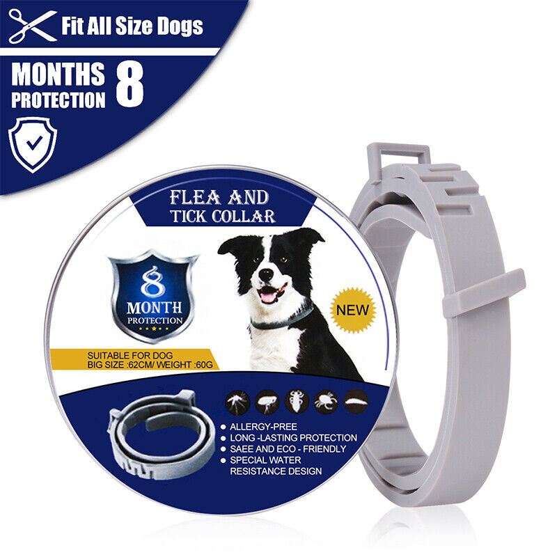 Einstellbar Flohhalsband Zeckenhalsband Katze Hund Anti Insekt Schutz 8 Monate