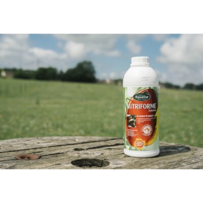 RAVENE Nutriforme : Le complément alimentaire incontournable pour les chevaux