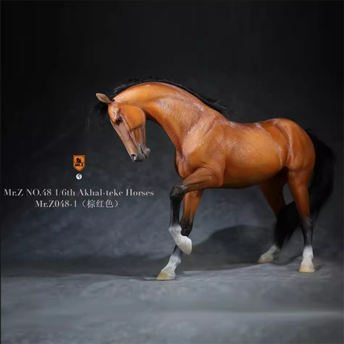 Mr.Z 1/6 Akhalteke Horses Statue Equidae Collector Animal Model
