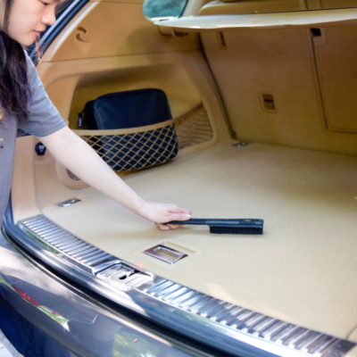 Pet Hair Removal Brush Dog Cat Fur Remover Tool Car Seat Carpet Rubber Cleaner