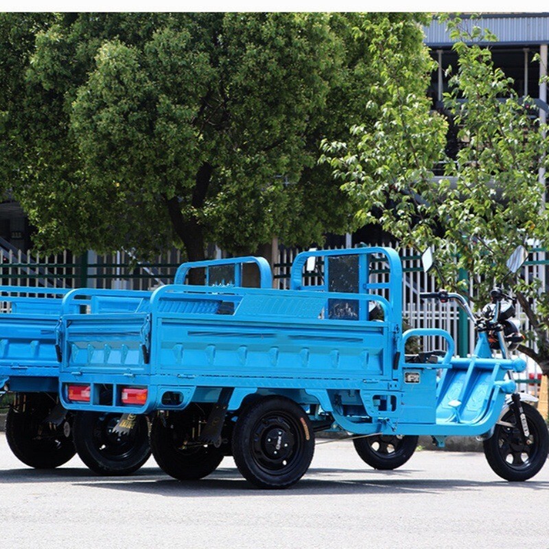 800W   Electric Adult Tricycle E-Trike 60V 32A  Battery 3-Wheel Bicycle