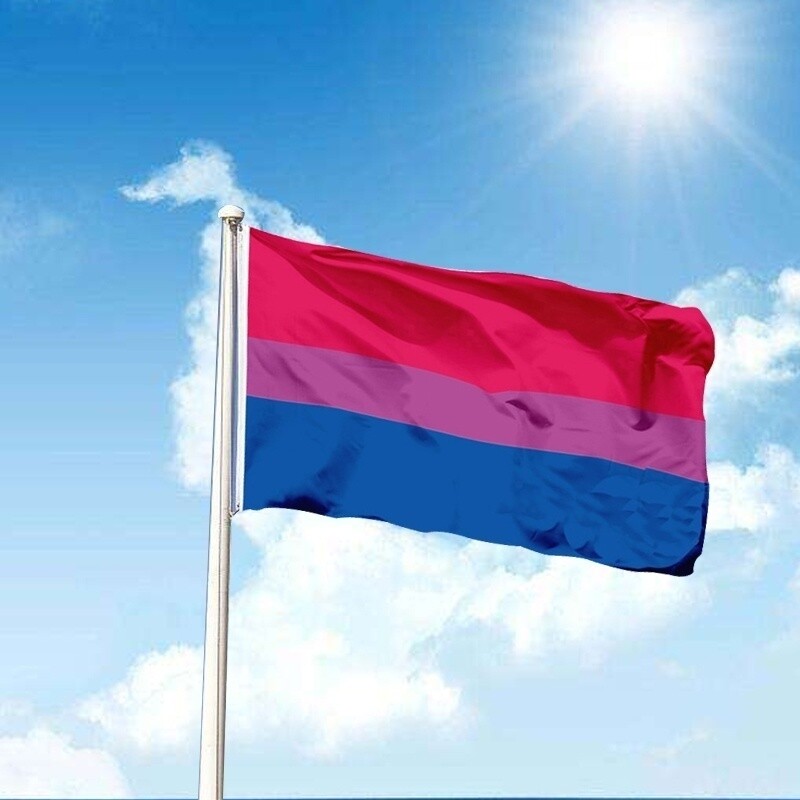 Bisexual Pride LGBT Flags Rainbow Flag Polyester 5*3 FT 150*90 CM Grommets Multi