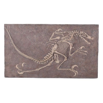 Velociraptor Dinosaur Fossil Life Size Statue Prehistoric Dig Prop Display Decor