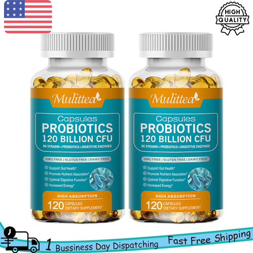 240 Capsules Prebiotics 120 Billion CFU Capsules Digestive Enzymes Suupplement