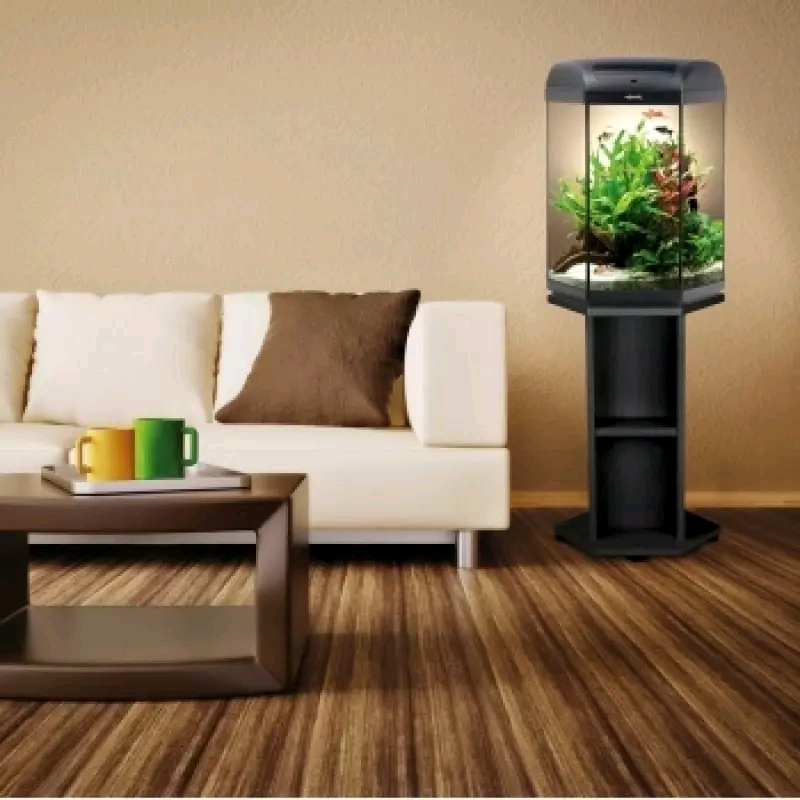 Hexagon Fish tank and stand. in Leicester, Leicestershire Gumtree