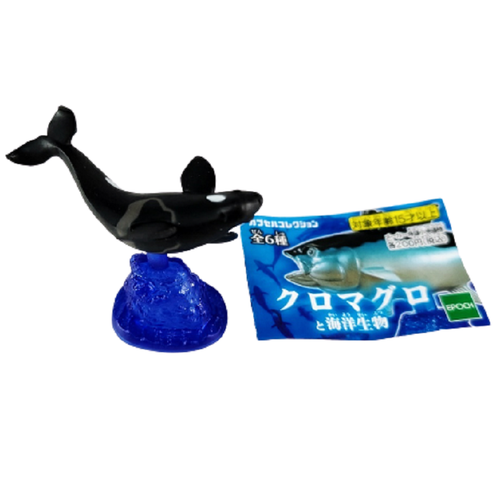 _12.PNG?set_id=880000500F