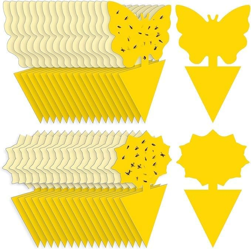 Fruit Fly Traps Fungus Gnat Traps Yellow Sticky Bug Traps 40 Pack No Harm and Od