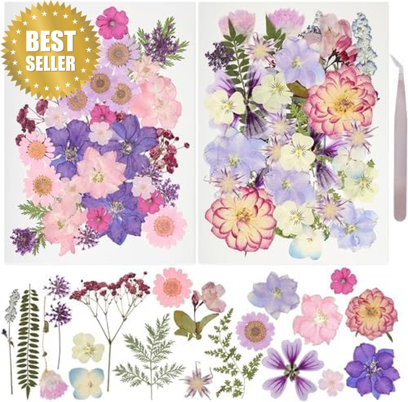 50Pcs Dried Pressed Flowers Resin Mould Real Pressed Flowers Natural Dry Leaves