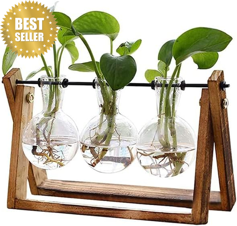 Plant Terrarium Wooden Stand, Wooden Stand Hanging Glass Vase Terrarium Hydropon