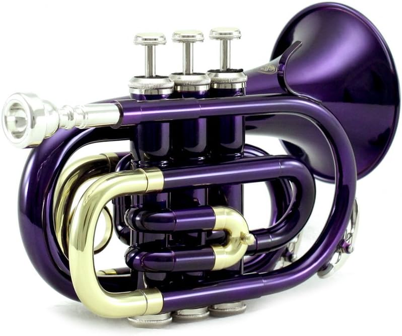 Band Approved Purple Plated Bb Pocket Trumpet with Case, Cloth, Gloves and Valve Oil, Guarantee Excellent Sound