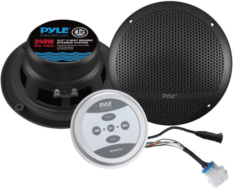Amplified Full Range Ste
