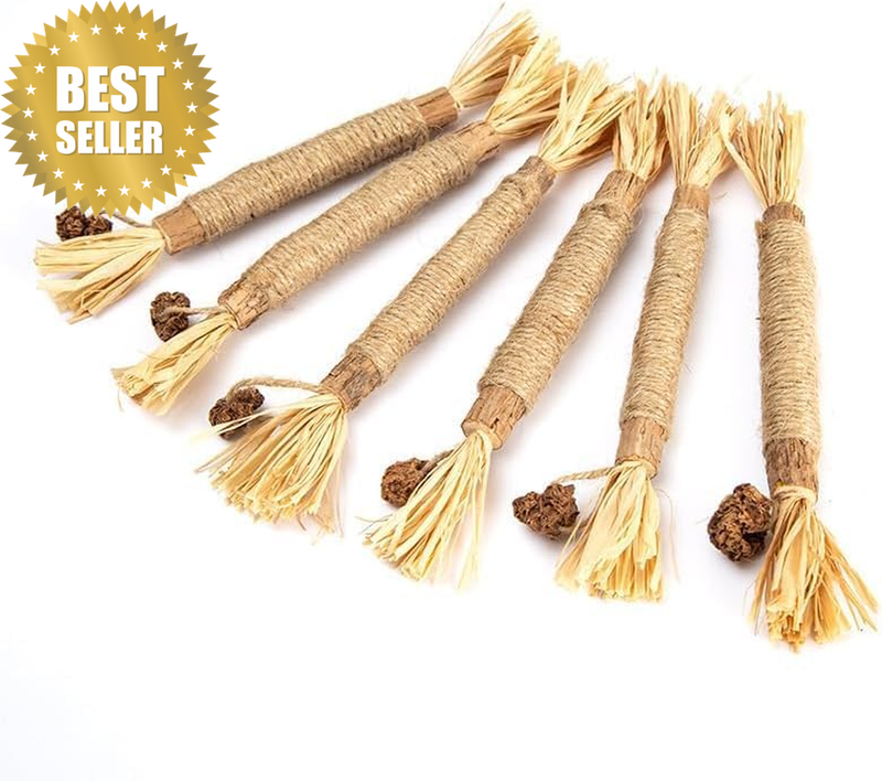6 Natural Cat Chew Sticks, Toy Cat Tooth Care, Tooth Cleaning