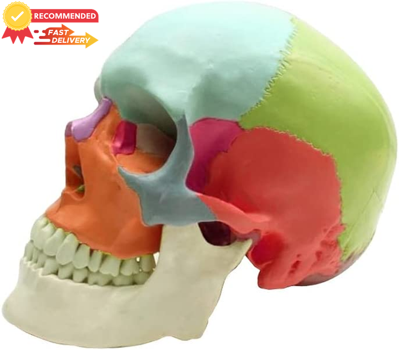 Picture 4