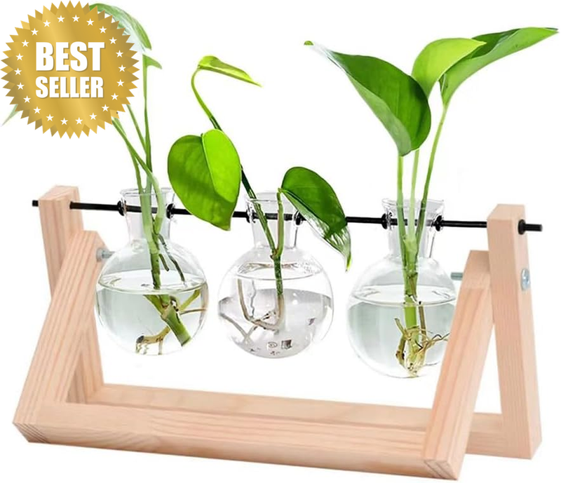 Plant Terrarium Wooden Stand Propagation Stations Glass Hydroponics Bulb Vase De