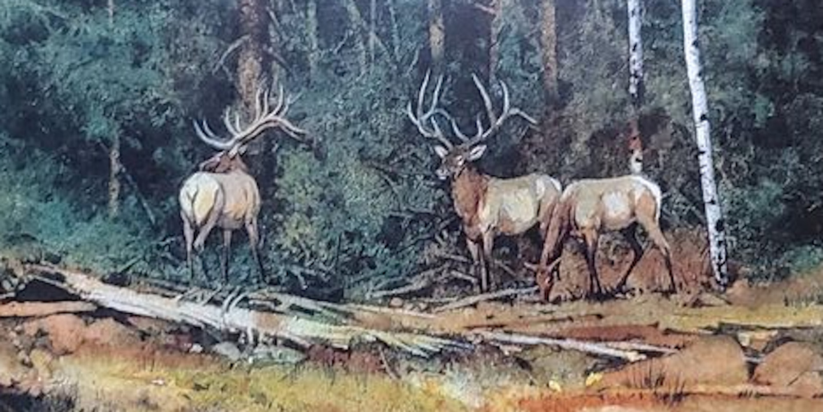 THE ART OF ＢＥＶ　DOOLITTLE The Art of Bev Doolittle: MacLay, Elise, Doolittle, Bev