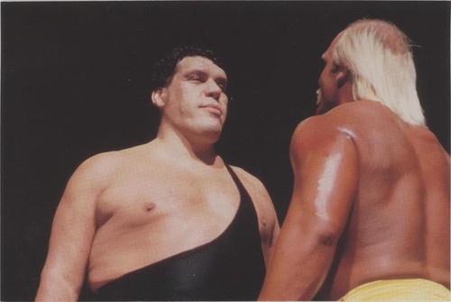 1999 Comic Images WWF WrestleMania Live! - Andre the Giant Hulk Hogan #5