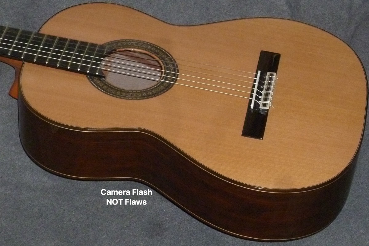 Cordoba 45CO Classical Acoustic Guitar COCOBOLO w Case LIST $1530