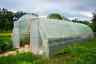 UV4 Gewächshausfolie Gartenfolie Tunnelfolie Tomatenhaus in 6m Breite