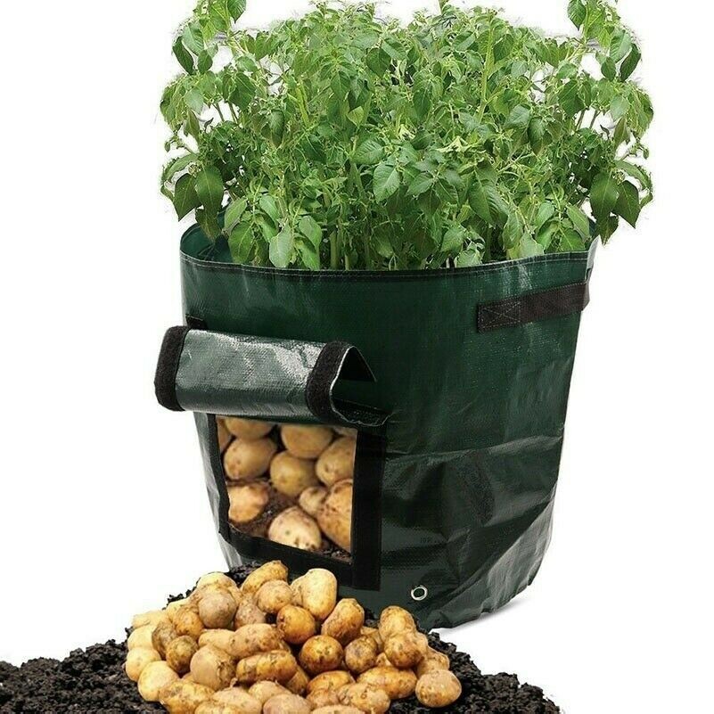 X 3 10 Gallon Plante Grow Pots Sacs Légumes Pomme de Terre Récipient Jardinage