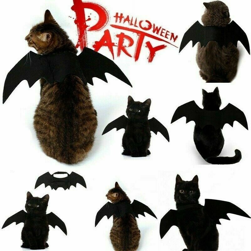 Hund Katze Ball Bekleidung Kostüm Schwarz Bat Flügel Halloween Party Haustier