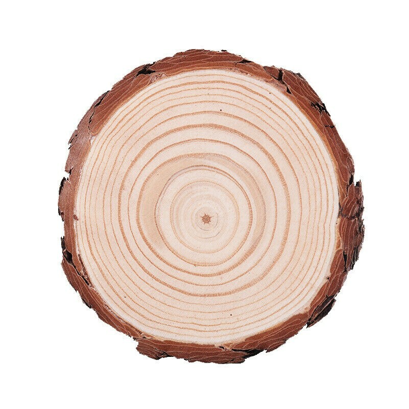 5pcs Wooden Log Slices Round Discs 9-14cm DIY Craft Wedding Decor Coasters